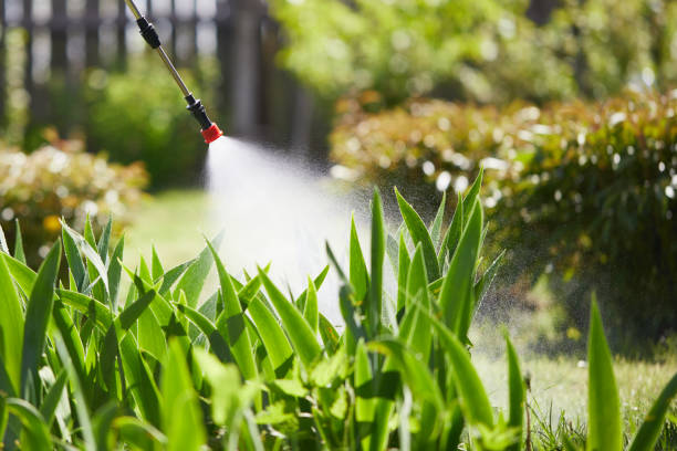 Tamper-Resistant Bait Stations for Rodents in Nichols Hills