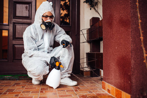 Attic and Crawl Space Rodent Treatment in Nichols Hills