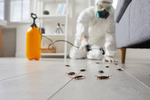 Commercial Rodent Management in Nichols Hills
